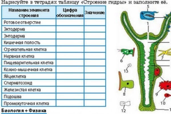 Кракен сайт как выглядит