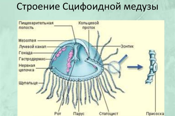 Не зачисляются деньги на кракен