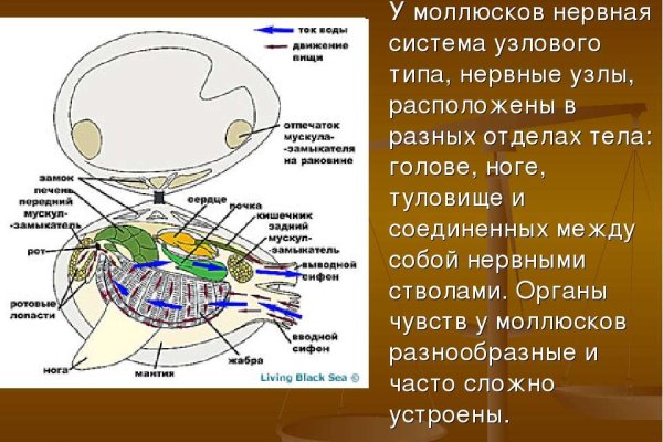 Kra29gl